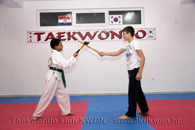 taekwondo kwon training